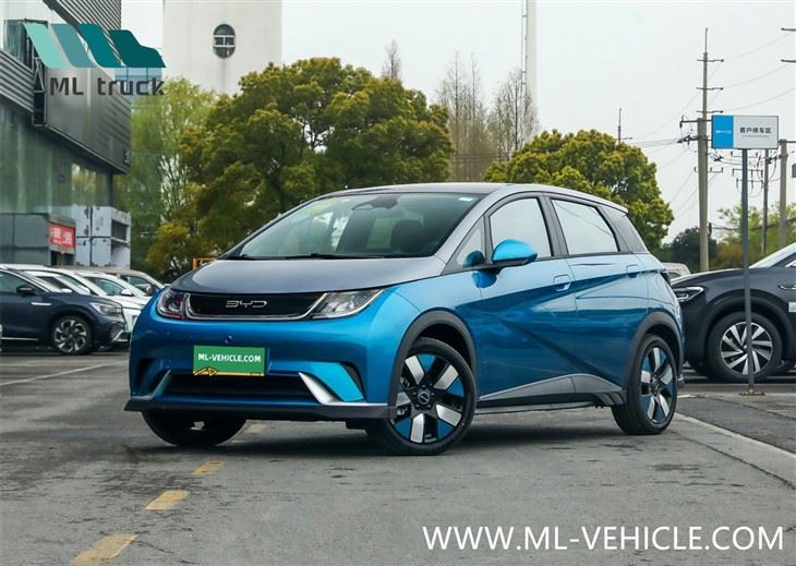 BYD Delfin EV