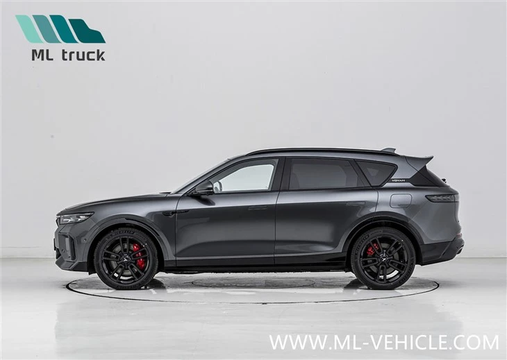 2025 New VOYAH Free 318 PHEV SUV